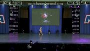Dancin Bluebonnets - Emerie Chambers [2019 Mini Solo - Contemporary/Lyrical] NDA All-Star National Championship