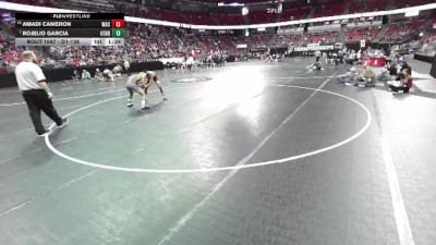 D1-138 lbs Champ. Round 1 - Rojelio Garcia, Kenosha Bradford vs Amadi Cameron, West Allis Central