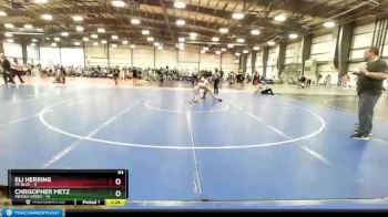 84 lbs Round 5 (6 Team) - Chrisopher Metz, Minion Green vs Eli Herring, PA Blue