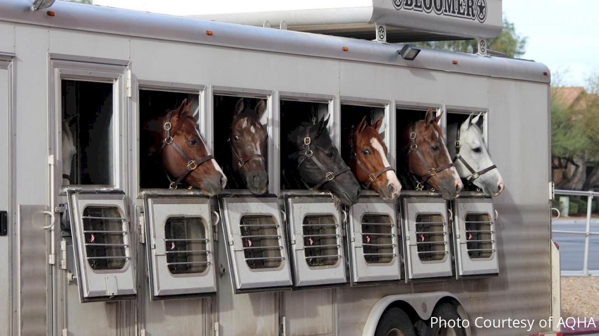 Let The Horses (& Cowboys) Roam Free: FMCSA Creates New Driving Exception