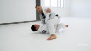 Leo Vieira: Standing Series – Knee Slice