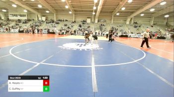 106 lbs Round Of 32 - Austin Hayes, MD vs Connor Guffey, NY