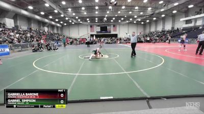 102 lbs Round 3 (3 Team) - Gabriella Barone, Niagara Wheatfield Sr HS vs Gabriel Simpson, Minisink Valley