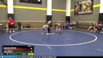 91 lbs Semis & Wb - Lexi Wolk, Missouri Blue vs Zaylyn Woods, Texas SOTM