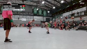 126-129 lbs Semifinal - Michael Goolish, Conant High School vs Andrew York, Ozark Wrestling Club