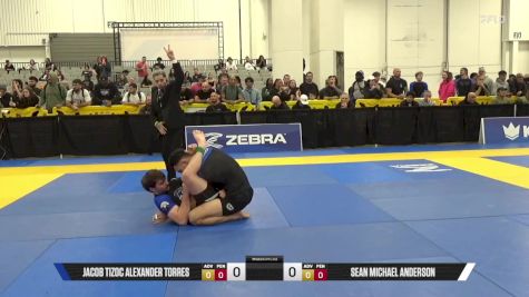 Sean Michael Anderson vs Jacob Tizoc Alexander Torres 2025 World IBJJF Jiu-Jitsu No-Gi Championship