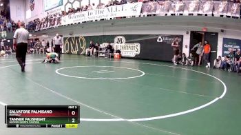 132 lbs Champ. Round 2 - Tanner Fausnight, Hoover (North Canton) vs Salvatore Palmisano, Mayfield