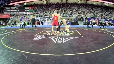 D4-215 lbs 1st Place Match - Landen Johnson, Lakeview vs Isaac Westfall, Reading