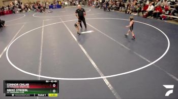 42-45 lbs Cons. Round 2 - Connor Cihlar, No Nonsense Wrestling vs Nikko Stroebl, CP Takedown Club