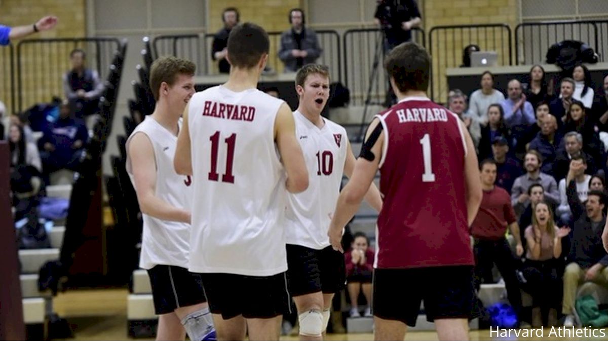 Harvard Hammers Princeton, Punches NCAA Tournament Ticket