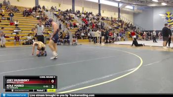 165 lbs Cons. Round 4 - Kole Marko, MS-Mankato vs Joey Mushinsky, University Of Mary