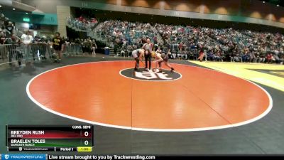 175 lbs Cons. Semi - Braelen Toles, Damonte Ranch vs Breyden Rush, Del Oro