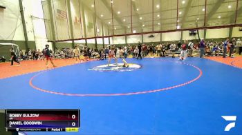 113 lbs Quarterfinal - Bobby Gulzow, OR vs Daniel Goodwin, IL