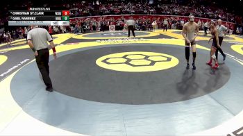 D1-132 lbs 7th Place Match - Gael Ramirez, Moeller vs Christian St.Clair, Wester. South