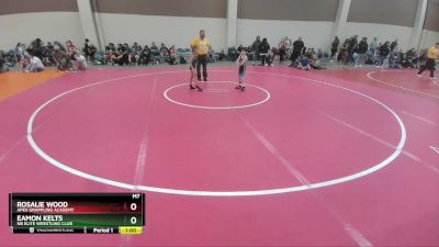 56 lbs Round 4 - Rosalie Wood, Apex Grappling Academy vs Eamon Kelts, NB Elite Wrestling Club