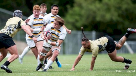 Cal Tames Lions In D1A Semi