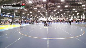 80 lbs Rr Rnd 3 - Cole Telenko, All American Wrestling Club - MS vs Riggins Arsenault, OHIO GOLD - MS