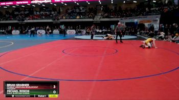 135 lbs Semifinal - Michael Roschi, Eagle River High School vs Brian Grabner, Student Wrestling Development Program