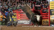 4-Legged Kings: How Bucking Bulls Demand Respect And Honor From Cowboys