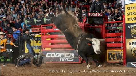 4-Legged Kings: How Bucking Bulls Demand Respect And Honor From Cowboys
