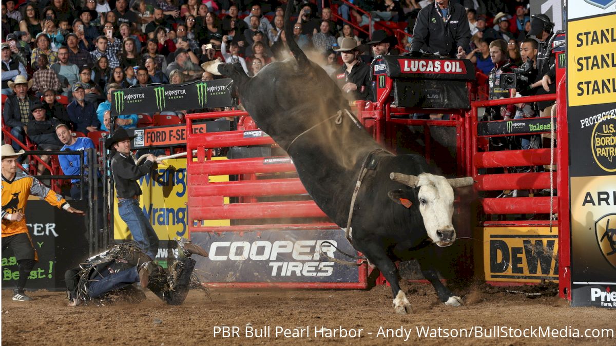 4-Legged Kings: How Bucking Bulls Demand Respect And Honor From Cowboys