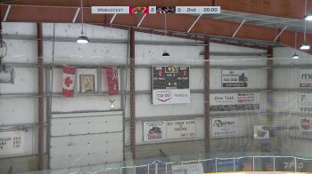 Replay: Home - 2024 Wild U18 AAA vs Cougars U18 AAA | Dec 22 @ 1 PM