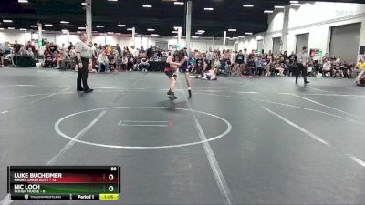 88 lbs Round 1 (4 Team) - Nic Loch, Rough House vs Luke Bucheimer, Finger Lakes Elite