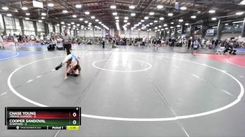 76 lbs Rd# 7- 10:45am Saturday Final Pool - Chase Young, Virginia Hammers vs Cooper Sandoval, Scorpions