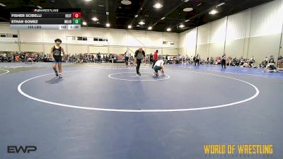 135 lbs Rr Rnd 3 - Fisher Scibelli, Best Trained 14U 2 vs Ethan Gomez, MOJO Mulisha 14U