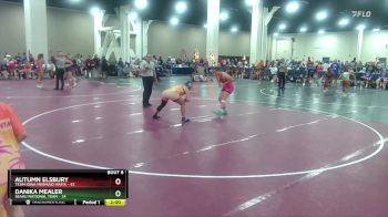 170 lbs Round 2 (8 Team) - Autumn Elsbury, Team Iowa Mermaid Mafia vs Danika Mealer, SEAAU National Team