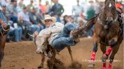Something In The Water: Rodeo Champion Hotspots