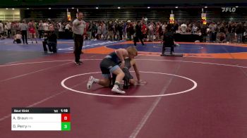 138 lbs Quarterfinal - Alex Braun, MN vs Dalton Perry, PA