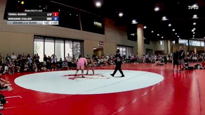 175 lbs Round 2 (4 Team) - Terra Burse, AR- 15 Pink vs Breanne Cullen, BRAWL Pink