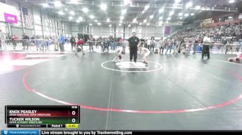 74 lbs Quarterfinal - Knox Peasley, Omak Wrecking Crew Wrestling vs Tucker Wilson, Lewis Academy Wrestling