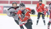 2018 OneHockey Edmonton Brings Together Best In North American Hockey