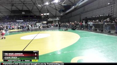 43 lbs Cons. Round 3 - Kyson Veach, Power House Wrestling vs Tre Wade Johnson, Kitsap Ironman Wrestling Club