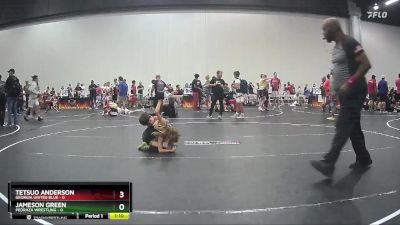 52 lbs Round 6 (10 Team) - Tetsuo Anderson, Georgia United Blue vs Jameson Green, Pedraza Wrestling