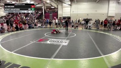 86 lbs Champ. Round 2 - Wyatt Haluptzok, Anoka Youth Wrestling vs Eli Nielsen