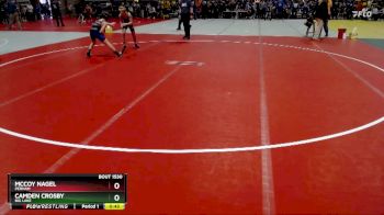 105 lbs Quarterfinal - Camden Crosby, Big Lake vs McCoy Nagel, Perham