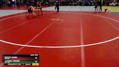 105 lbs Quarterfinal - Camden Crosby, Big Lake vs McCoy Nagel, Perham