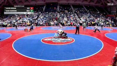 3A-165 lbs Champ. Round 1 - Jalen Deggs, Stephenson vs Sam Harkins, White County