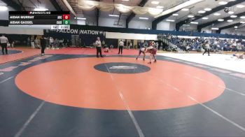 197 lbs Finals (2 Team) - Aidan Murray, Arcadia vs Aidan Gassel, Case Western