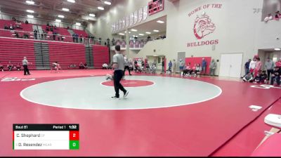 138 lbs Quarterfinal - Damian Resendez, Mt. Carmel vs Clinton Shephard, Crown Point