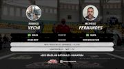 Matheus Fernandes vs Rodrigo Vechi 2025 ADCC Brazilian Nationals
