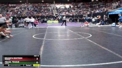 106 lbs Cons. Round 7 - Mikael Teague, Minico vs Brand`n Edstrom, Madison