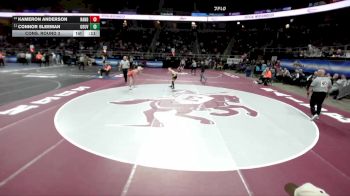 II-103 lbs Cons. Round 3 - Connor Sleeman, Gouverneur vs Kameron Anderson, Randolph