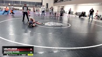 84 lbs Placement (4 Team) - Brantsen Selinski, Little Falls vs Leeland Gibson, Marshall/Lakeview/RTR