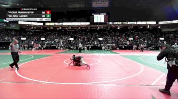 135 lbs Semifinal - Rileigh Harris, LDYA vs Violet Armbruster, AYE3