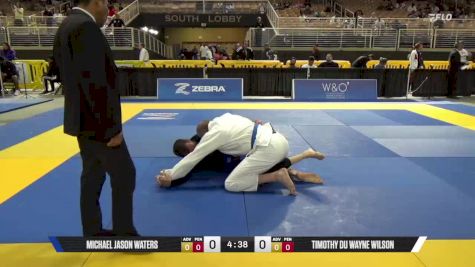 Timothy Du Wayne Wilson vs Michael Jason Waters 2025 Pan Jiu Jitsu IBJJF Championship