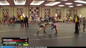 60 lbs Quarterfinals (8 Team) - Ronin Barro, Steel Valley Red vs Jaxon Candeloro, Upper Twp Green Hornets